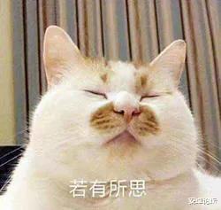 OPPO|OPPO昨天发布的新技术,可能是国产手机今年最重大的突破