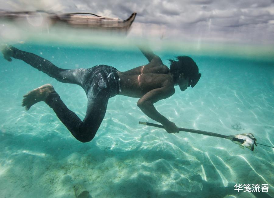 黑猩猩|巴瑶人会不会进化出脚蹼?演化成类似人鱼的形态