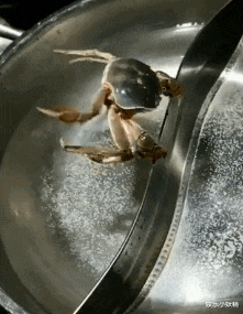 小姐姐|和女友出来钓鱼，我没办法集中注意力了，哈哈哈哈哈这谁顶得住？