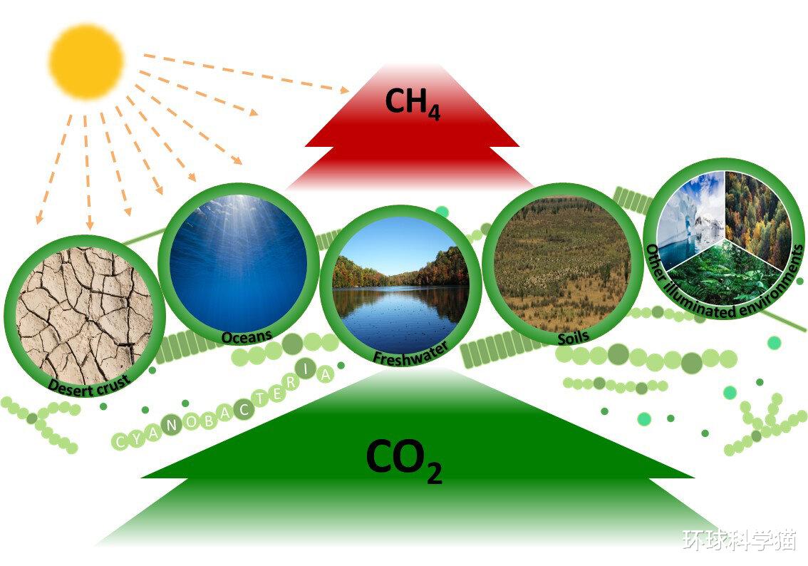 甲烷|甲烷排放创新高，每年增加5000万吨！研究者：少吃肉，少开车