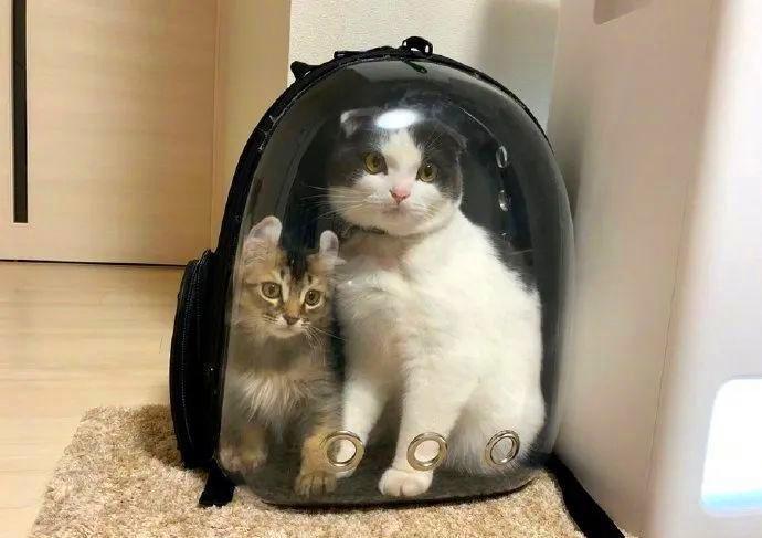 |为什么和男朋友第一次一直进不去？没人教过你穿针吗？哈哈哈哈哈