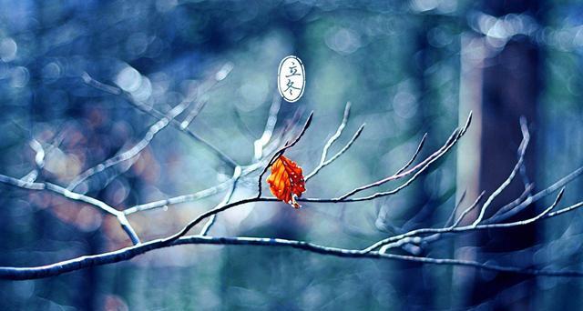 立冬|明日立冬,“1肉1粮3蔬果”要吃全,好吃不贵,一下补到实处