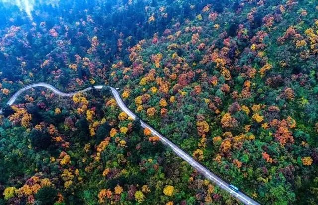 峨眉山|2020年红叶观赏指南!美成仙境,人少景美,还有温泉泡!