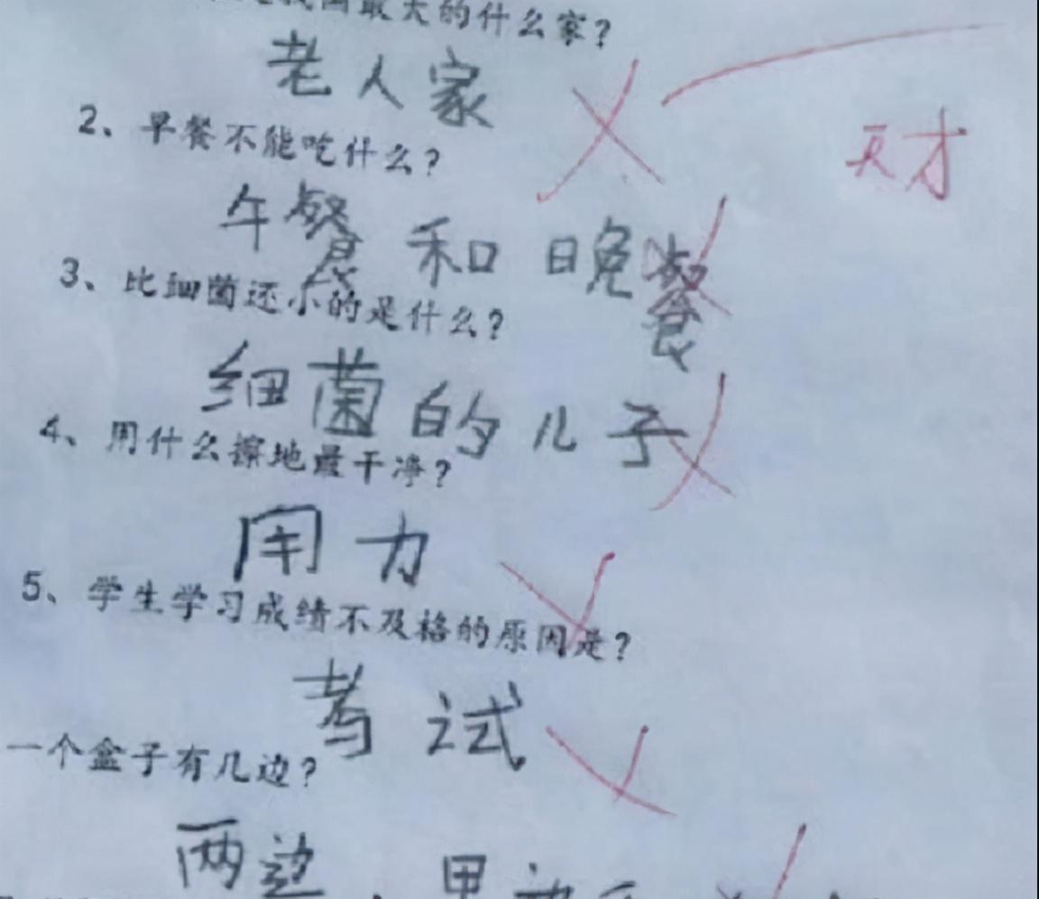 考试|小学生“倒数第一”试卷走红，智商已超越地球人，看完又气又想笑