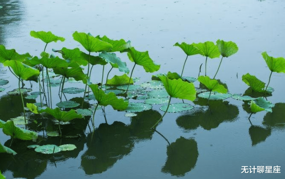 属狗|一周内好运爆棚的4个星座,做到这些,事业会出现转机