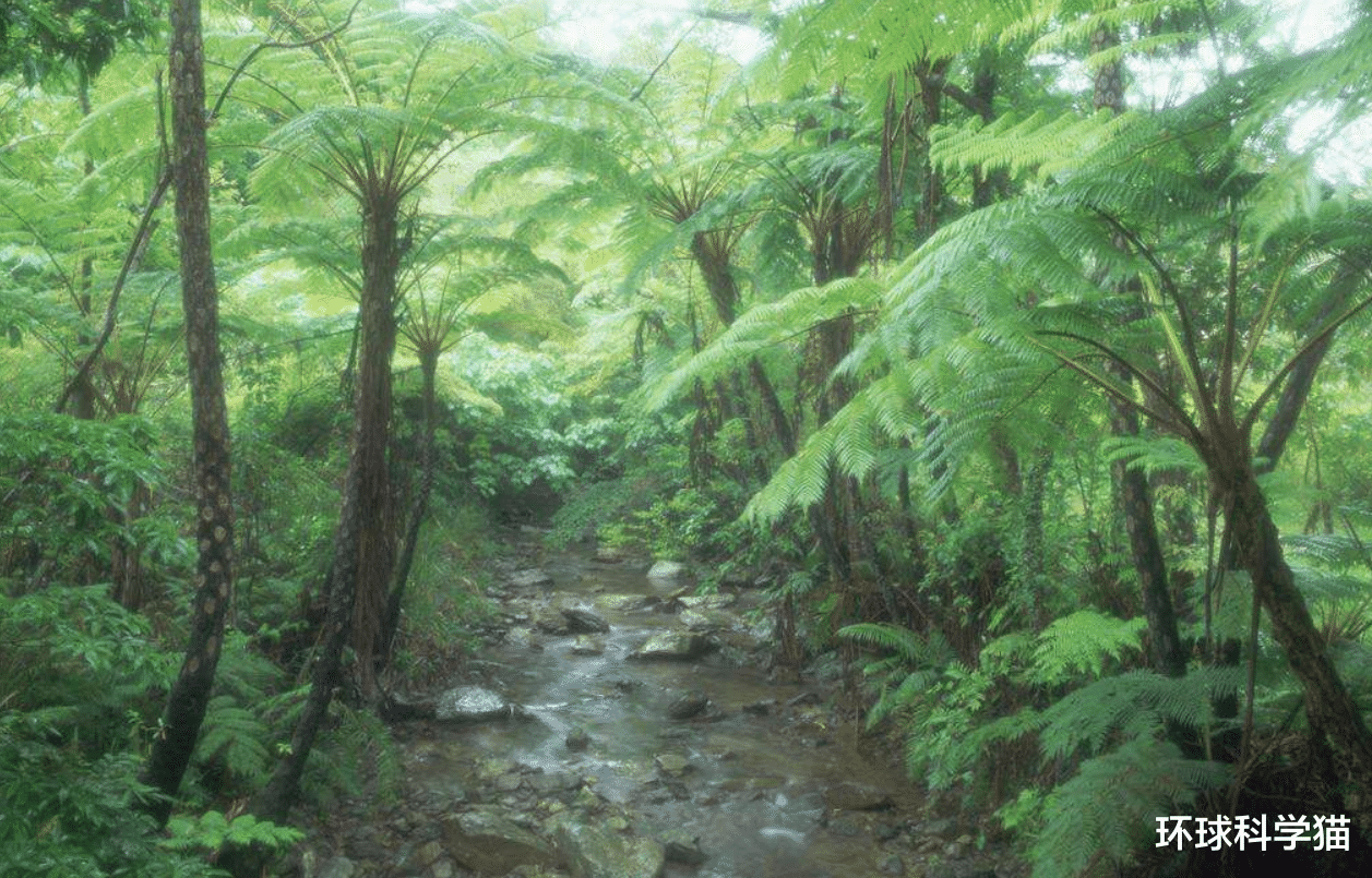 蟒蛇|巨蟒的天敌是什么，一般寿命有多长？遇到了怎么办？