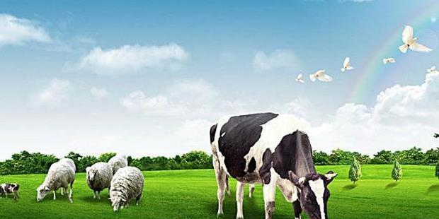 妖股|国内第一大饮料巨头诞生，力压贵州茅台，收入是农夫山泉的三倍！