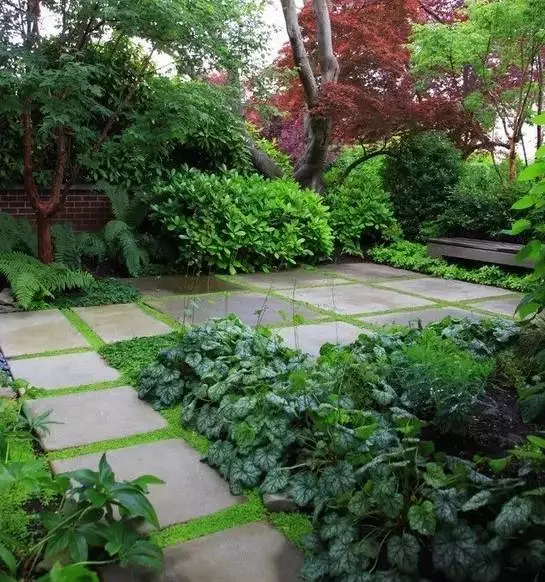 ▲一楼带院子，究竟该怎么设计？