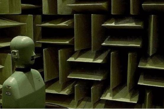 |地球最安静“消音室”，呆超过45分钟，奖一万元，但至今无人完成