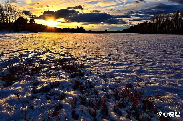 心之所向|15天后，心之所向，朝思暮想，3星座为爱痴狂，余生幸福相拥