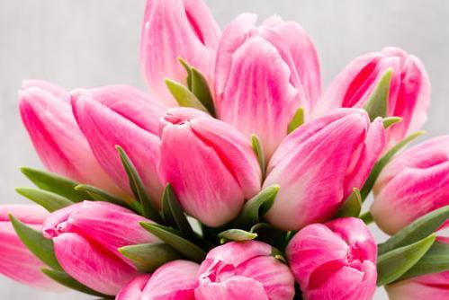 旧爱|十分耐看的星座女，初见，或许不足以惊艳你，但越品越有韵味