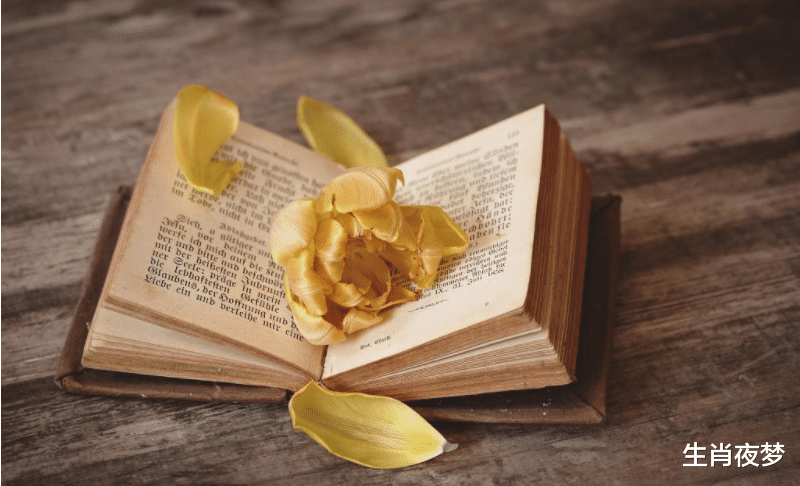 生肖|11月底,心软了,心动了,前任痴情回归,爱情再现,旧情复燃