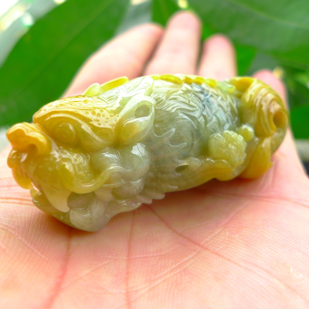 翡翠|不知翡翠龙头鱼的寓意闹了笑话，评论别人的翡翠前最好先多看