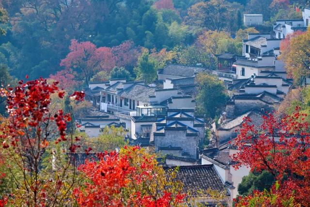 香山|秋色不输婺源，颜值美过香山，这座小村庄一到秋天就美成仙境