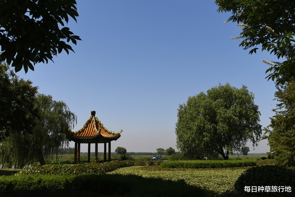 盐城|江苏一''强''县，由盐城管辖，旅游收入超16亿，被誉为“艺术之乡”