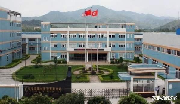 股价@奇葩公司巨亏1个亿，股价却翻了一番，但老板已经“跑了”