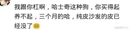|你有哪些比较烧钱的小爱好吗?网友:贫穷限制了我的想象力~