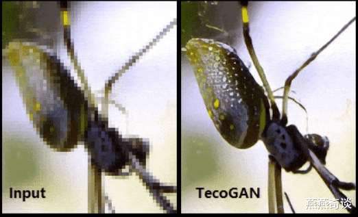 #软件#马赛克视频被破解!还原视频内容,网友:考虑过演员的感受?