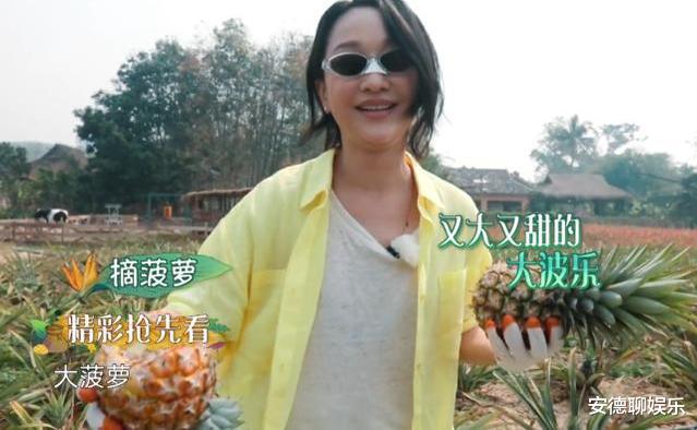 「沙溢」周迅不想干活,也不想离开,沙溢说出的话,让黄磊进退两难