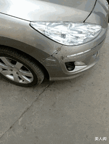 美人阁 出差把狗子放女朋友那以后，哈哈哈这模样