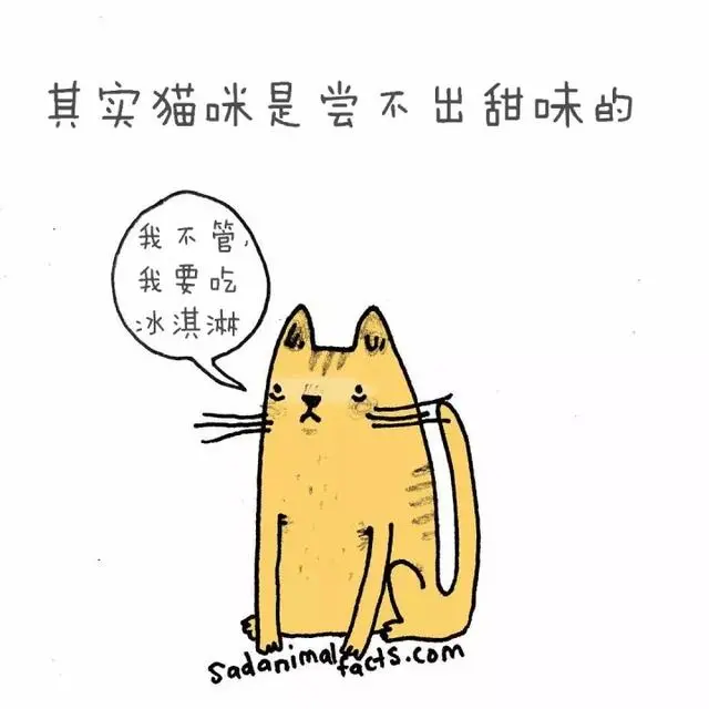 动物冷知识|这些动物冷知识,能知道五个就是大神了吧?