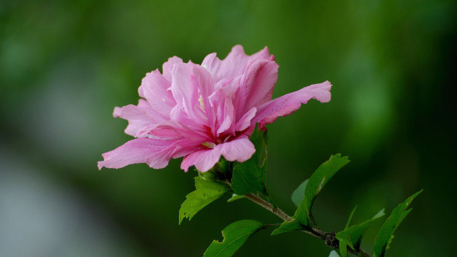[处女座]一恋爱就走心的星座，越爱越痴情，傻得让人心疼