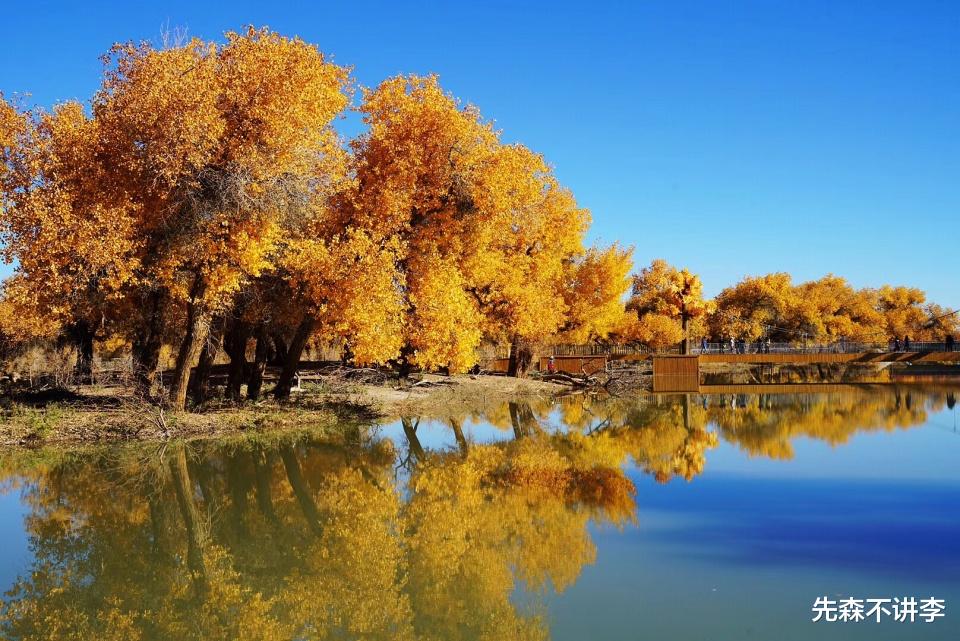 胡杨林|如果秋天的景色有段位，这里的秋色堪称C位，连电影都来这里取景