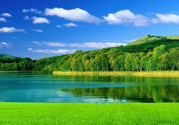 生肖|8月上旬，4属相财运不断，生意越来越兴隆，家庭和睦，万事兴