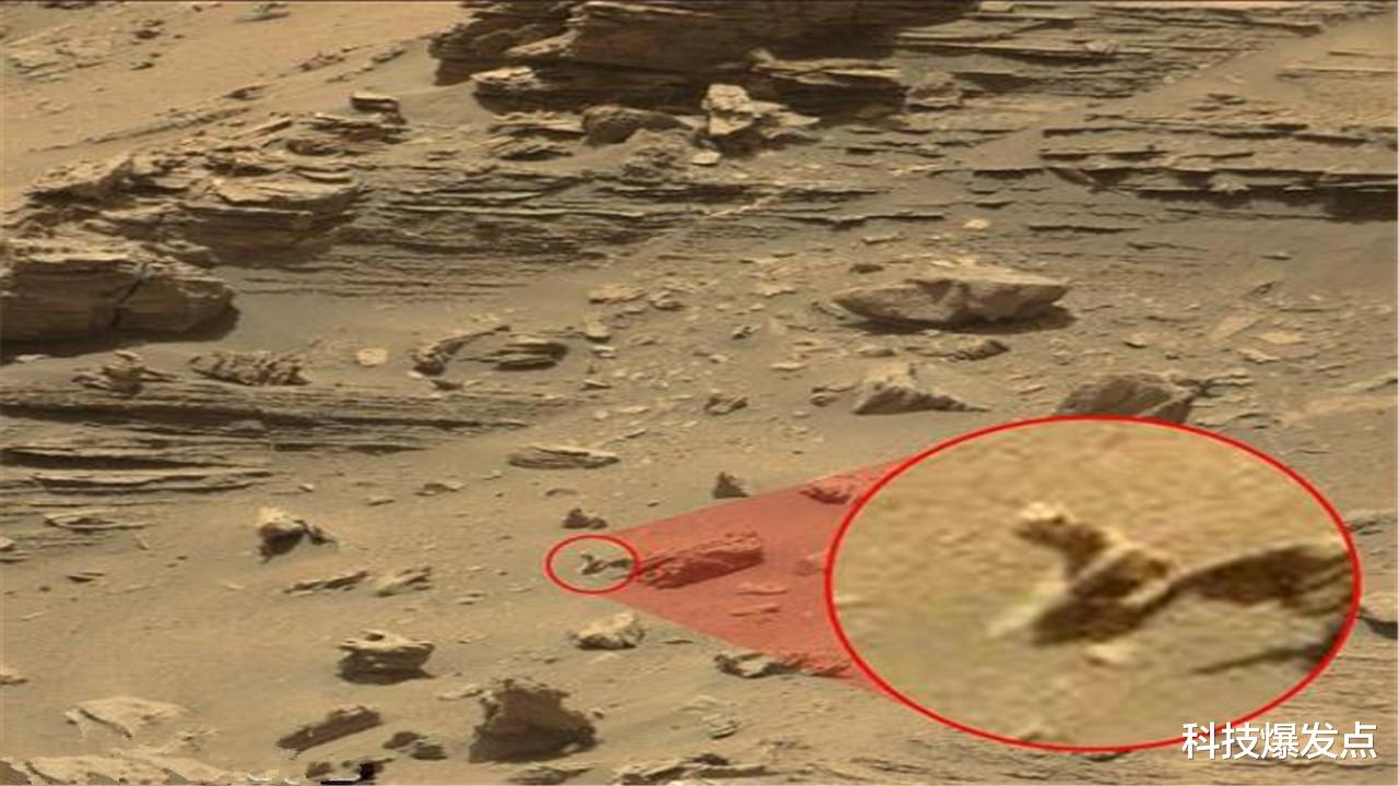 火星|火星上有真菌存在?UFO猎人在好奇号照片中,发现“蘑菇状”物体!