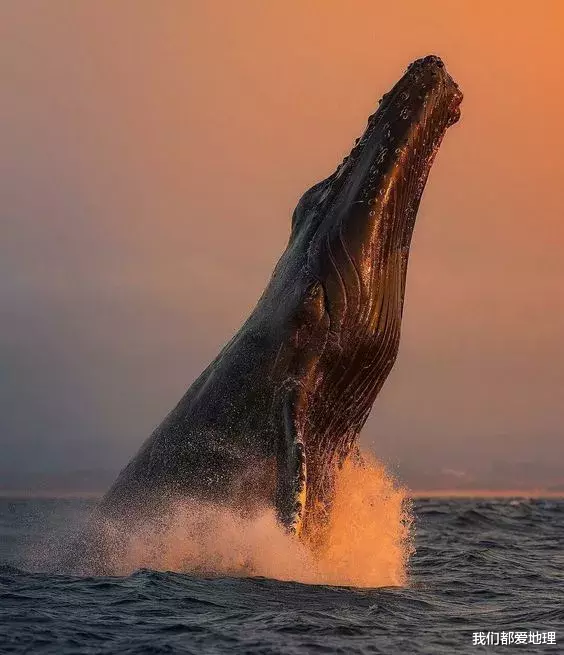 []72张精彩摄影，壮观！难得一见！