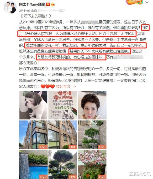 郭碧婷|向佐不陪郭碧婷另有原因?向太上个月进ICU抢救,全家陪在手术室外