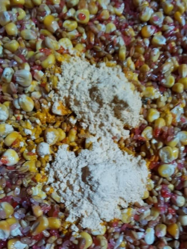 |【独家秘方】首次透露鲤鱼窝料制作全过程
