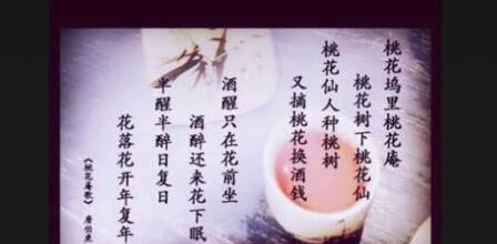 [李子柒]被继母虐待辍学打工做DJ，30岁的李子柒竟活成外国人眼中的公主