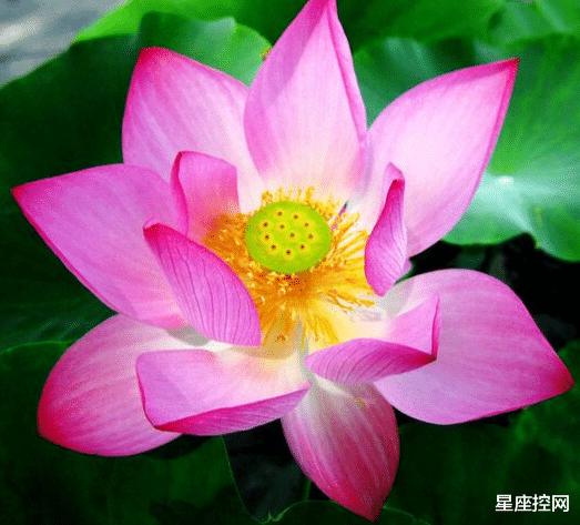 |哪些月份出生的人，社交高手，人脉广好办事，出门在外有人帮