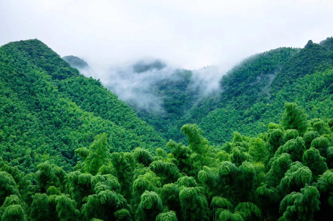 「旅行」5月最佳旅行地清单！10处绝美秘境，第一个就心动……