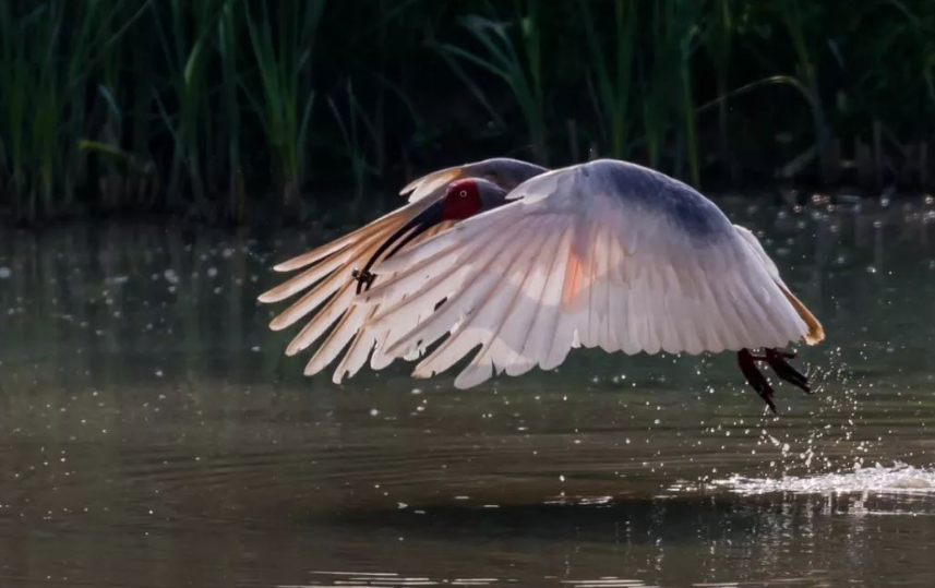 #莫干山#这座小县城是上海人的后花园,是夏季避暑的不二选择,杭州出发仅1小时!