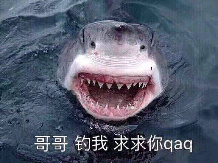 摄像头|现在不止炸鱼、毒鱼要罚，在钓竿装摄像头锚鱼，不止要罚要还要抓