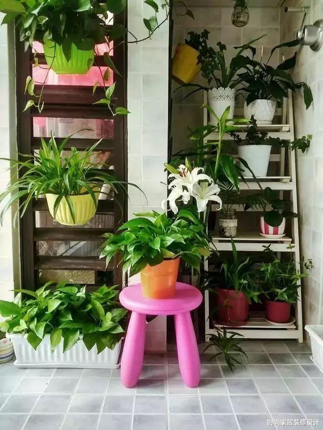 @别看阳台小，利用好这一面墙，等于多出一实用房！