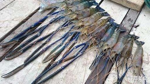 ▲湄公河大虾“泛滥成灾”，一只就是一斤，求助中国吃货，中国吃货：帮不了