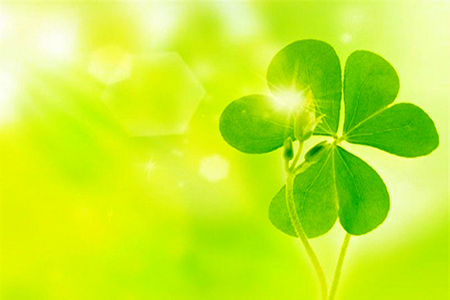 枯木逢春■5月开始，会迎来一波喜讯的三个星座