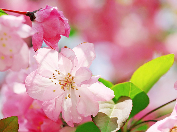 运势|8月份开始，紫气东来，4属相天降大喜，福禄双全，好事成双