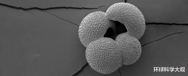 『科学家』科学家警告：地球环流模式已经改变，海洋正在经历万年不遇的变化