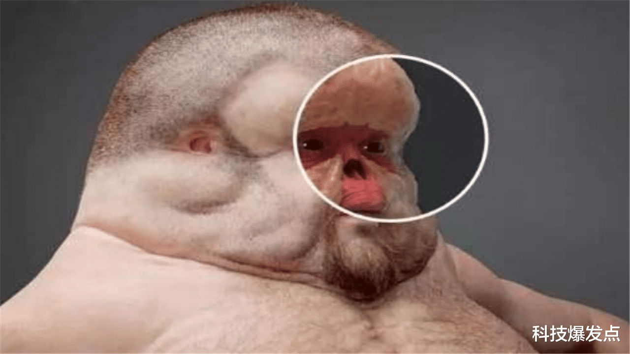 科学家|10万年后的人类长什么样子?科学家公布的照片,你能接受吗?