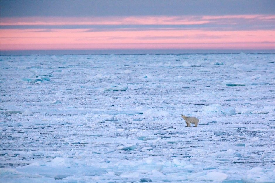 比尔·盖茨|微软创始人比尔·盖茨：另一场危机迫在眉睫，将比新冠病毒更加可怕！