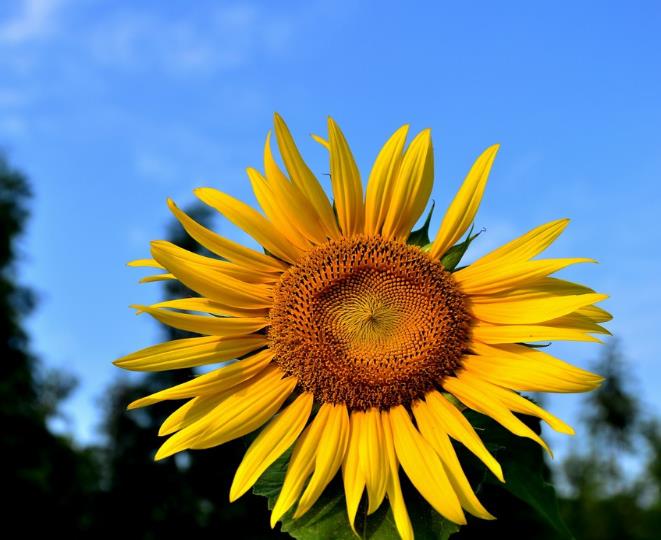 生肖|8月财运连连，3生肖进入上上签，横财不请自来，喜遇真爱！