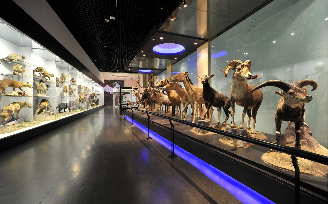 大学|大学里比较鸡肋的8个专业，知识面很广，但本科毕业就业质量不高