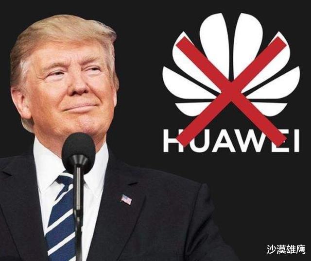 #加拿大#损失超过237亿！加拿大媒体气急败坏：中国不应该放任不管