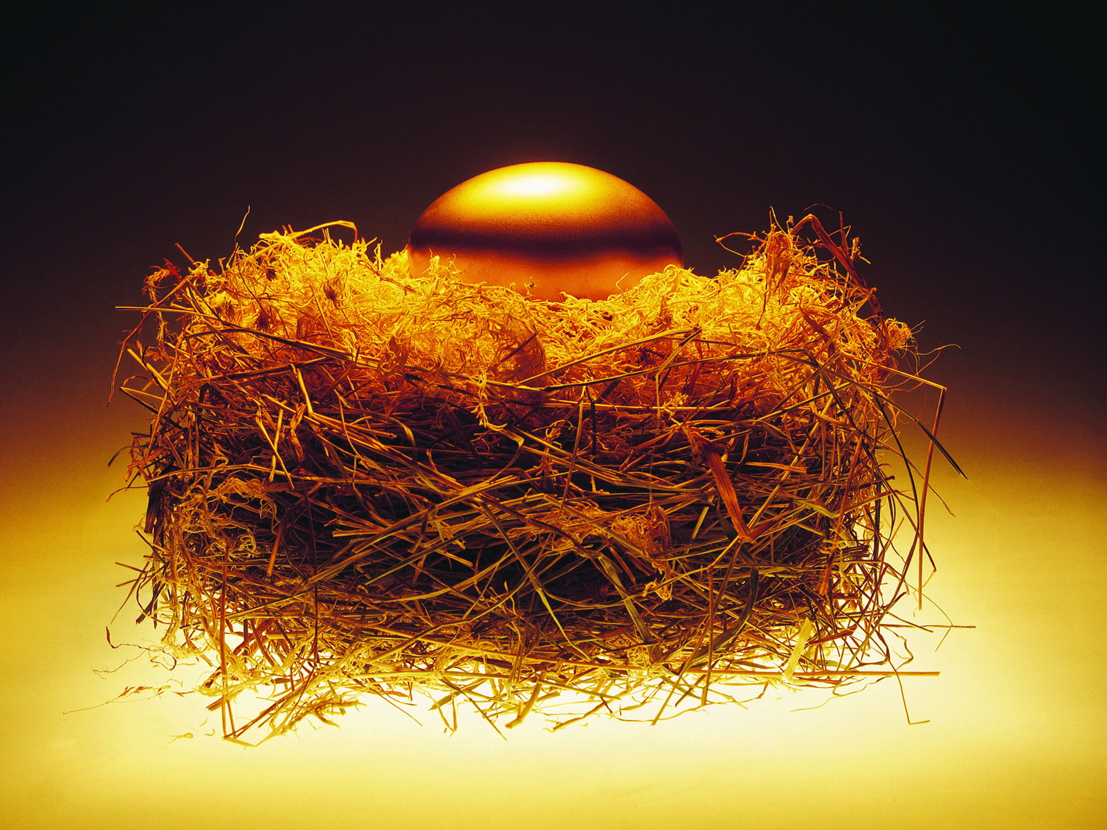 「生肖」3月下旬紫气傍身，运势上上签，事业前途无量的三个生肖