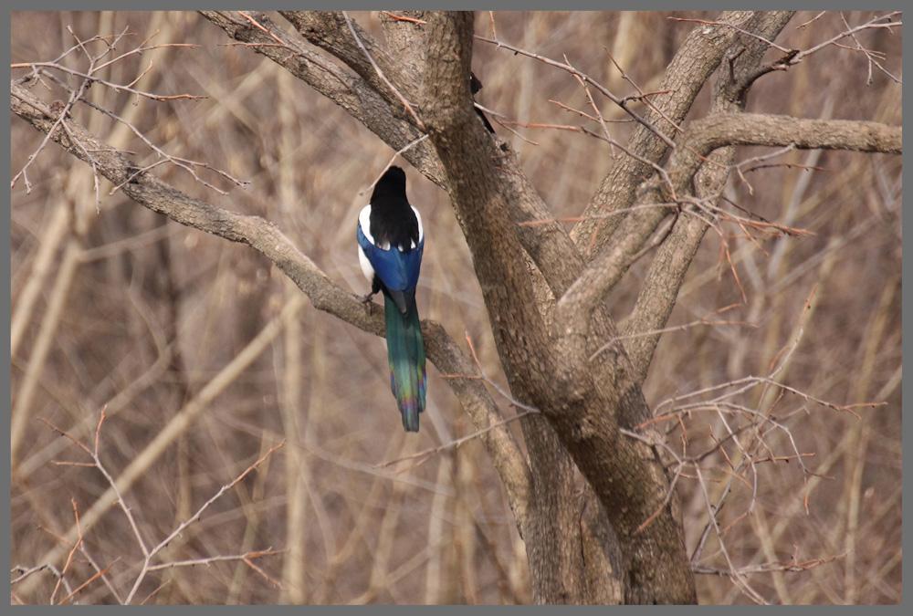 生肖■6月22号,睡着能笑醒!3生肖不得了,天上掉财、地上生金,大富大贵躲不掉