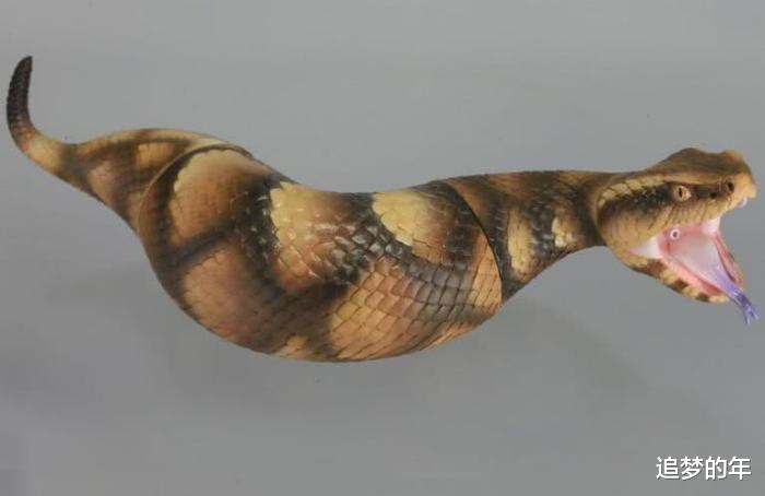 @六种仍没有确认的未知生物, 第四种在中国百年前就已被目击